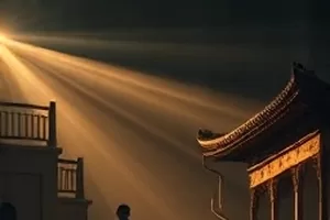 《白鸟计划》观测塔与飞鸟封面图